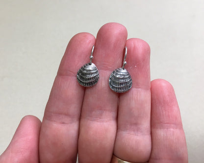 Small silver seashell earrings
