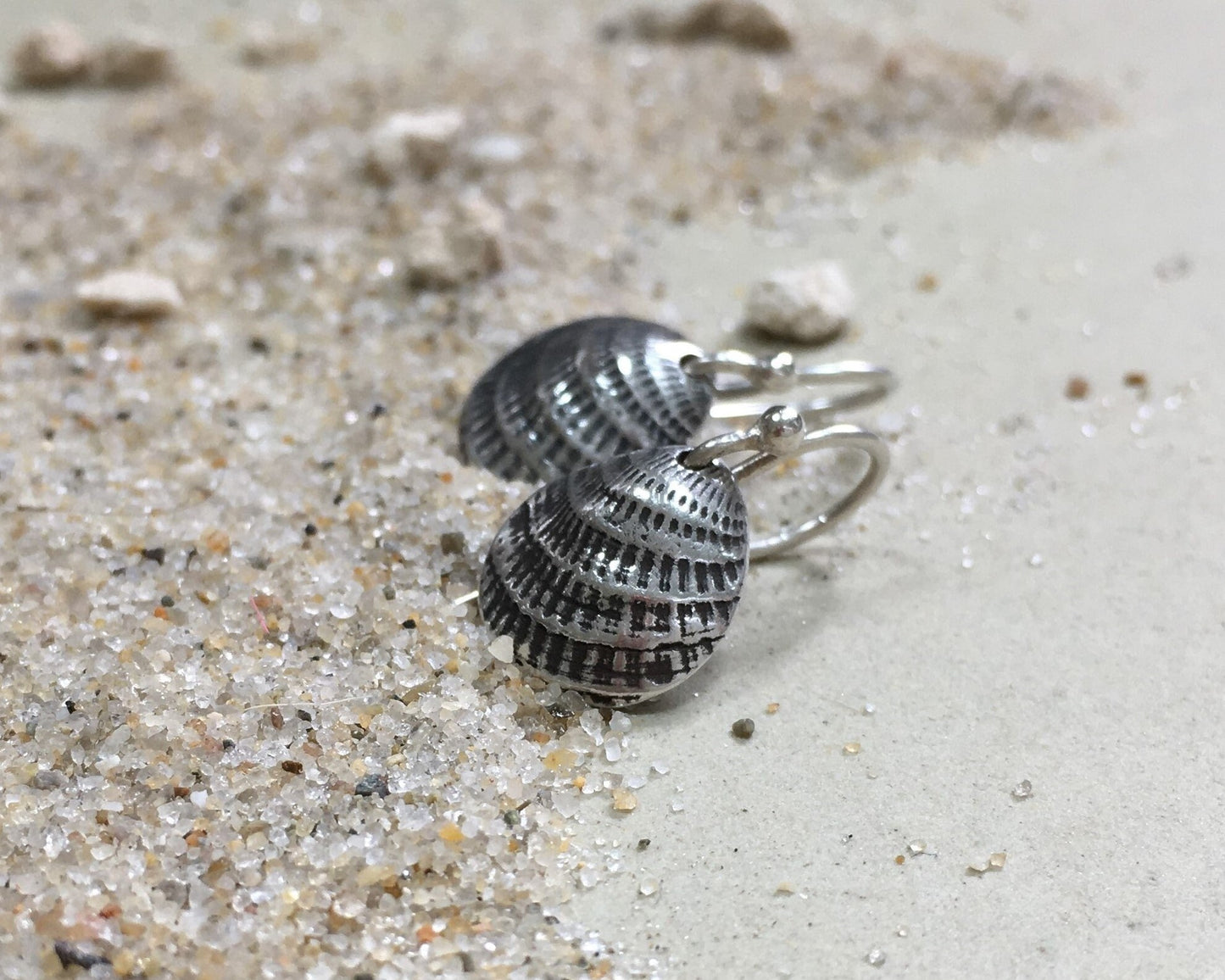 Small silver seashell earrings
