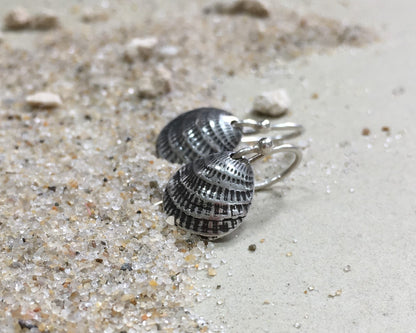 Small silver seashell earrings