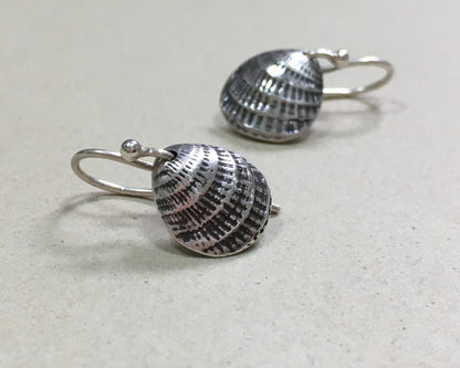 Small silver seashell earrings