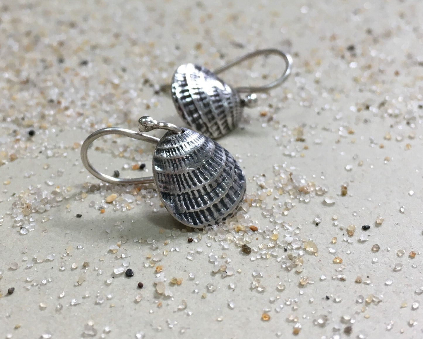 Small silver seashell earrings