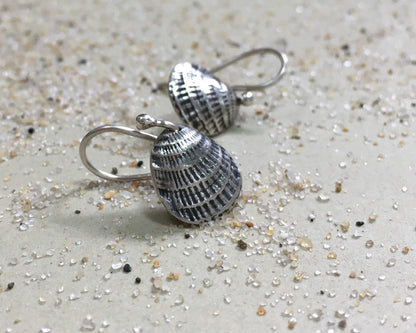 Small silver seashell earrings