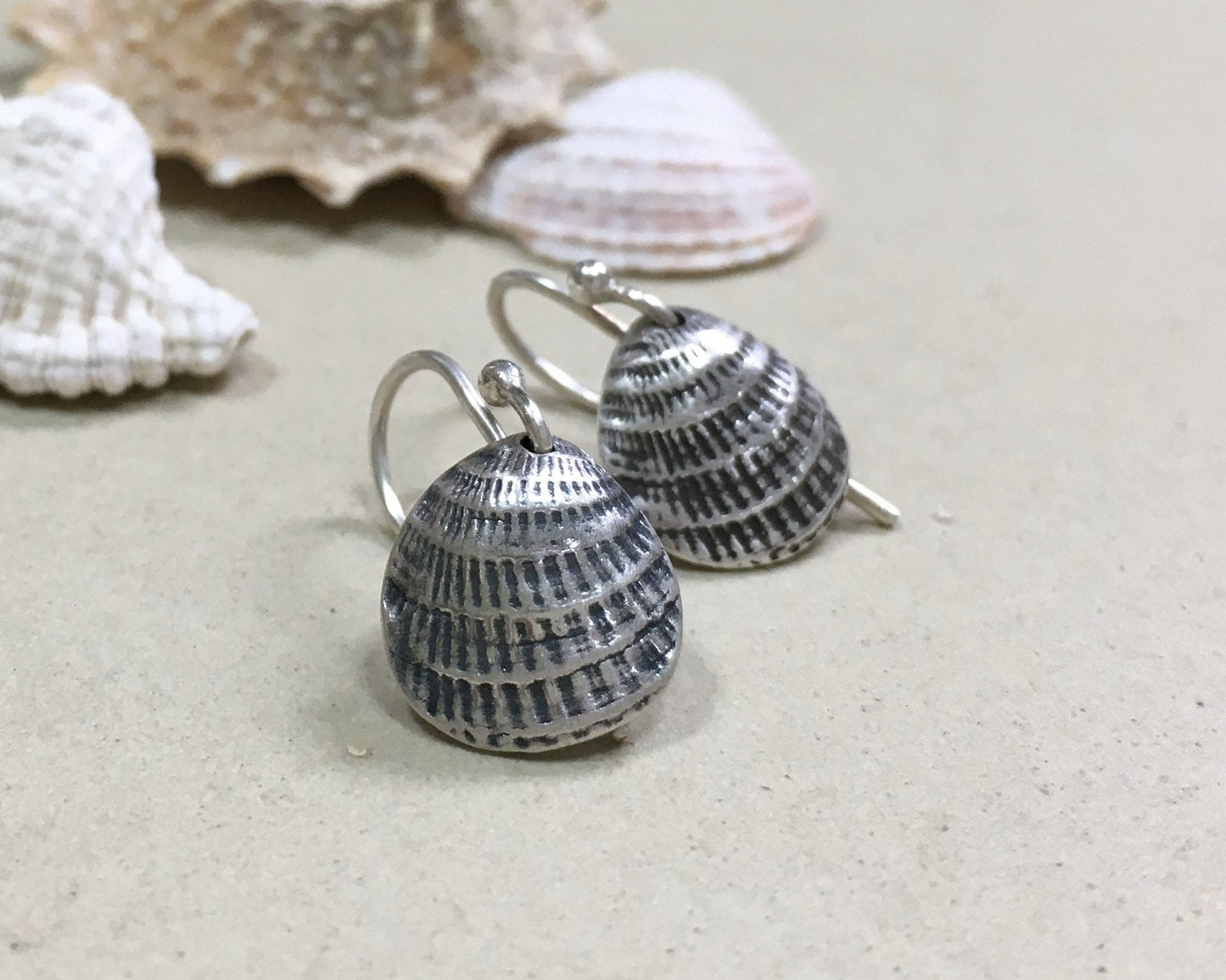 Small silver seashell earrings